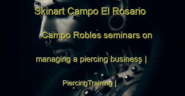 Skinart Campo El Rosario  Campo Robles seminars on managing a piercing business | PiercingTraining | PiercingClasses | SkinartTraining-Mexico